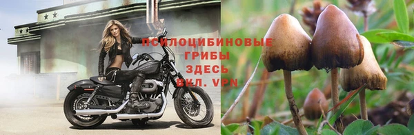 винт Абаза