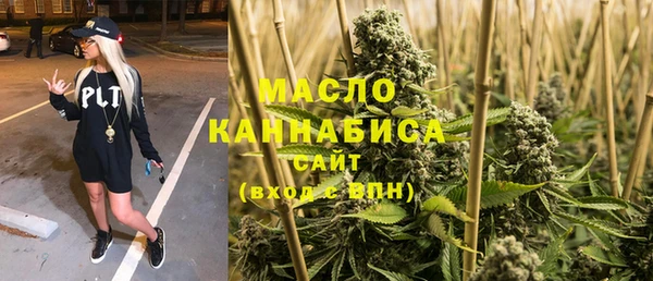 винт Абаза