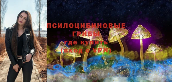эйфоретик Абинск