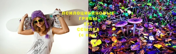 винт Абаза