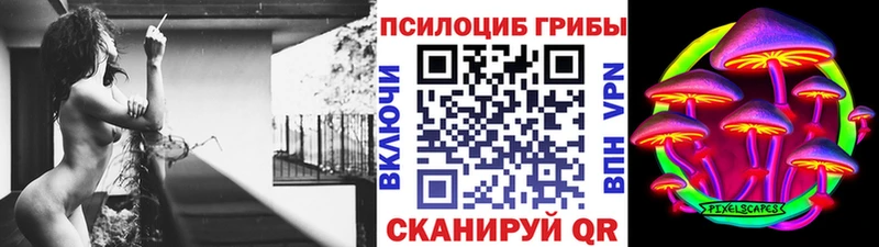 Псилоцибиновые грибы Psilocybe Сертолово
